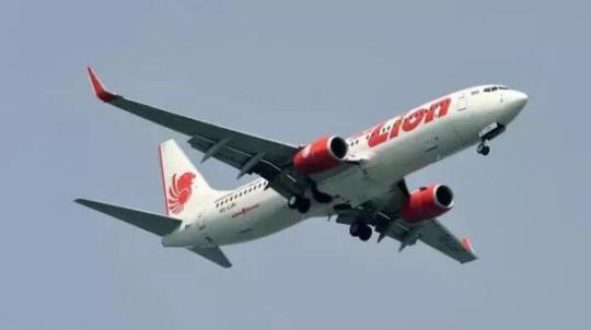 最新！印尼国家旅游部：航班坠毁前曾请求返回